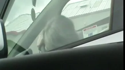 Thiếu kẻ phimsex cổ trang trộm được kiểm tra